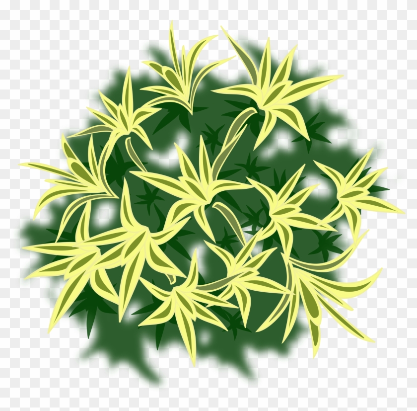 Memory Card - Top View Plants Png Clipart