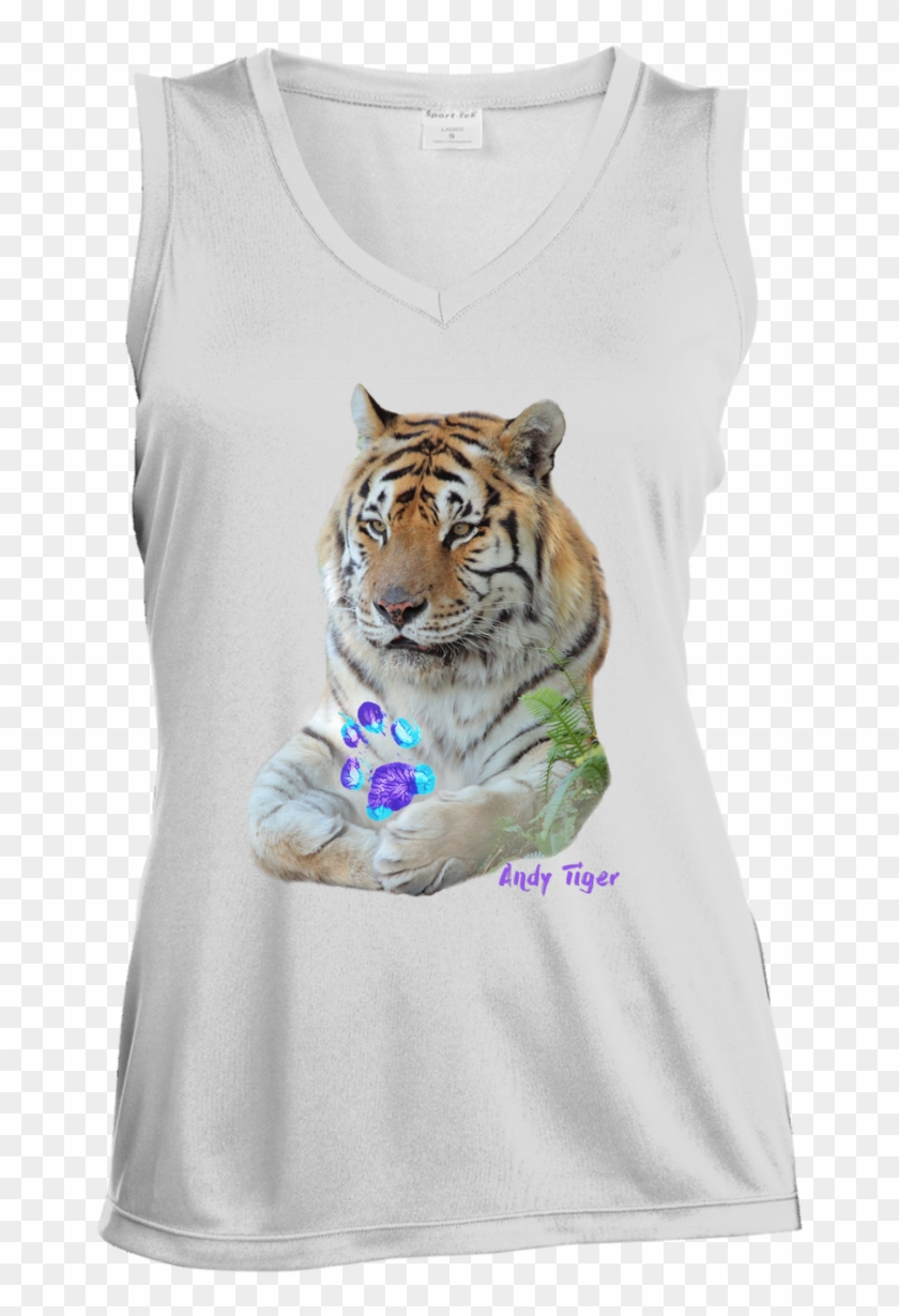 Hoping You Will Love This New Andy Tiger Paw Pr - Siberian Tiger Clipart