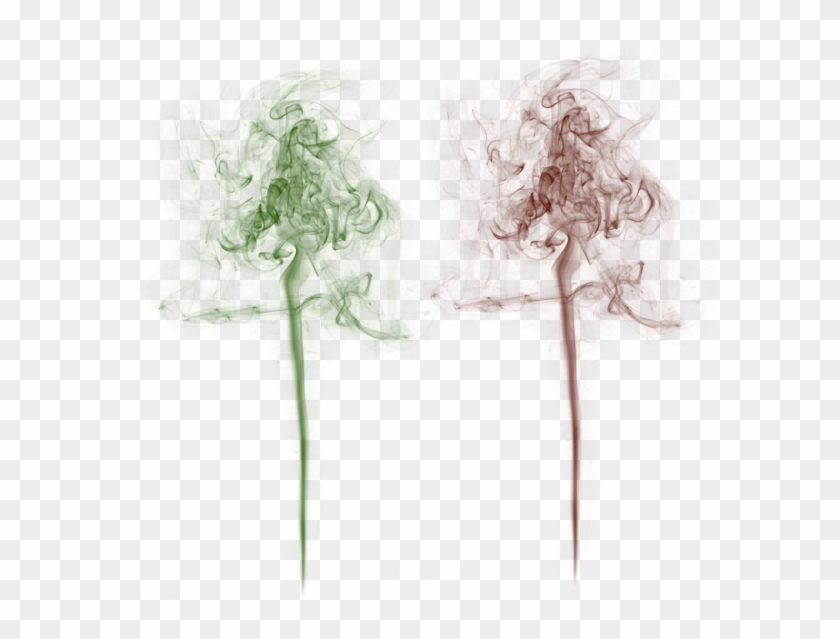 Smoke Vector Illustration On Transparent Background, - Fundo Transparente Imagens Em Png Clipart