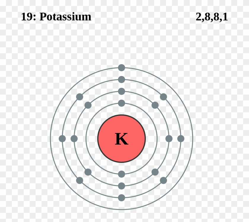 An Element To Love - Diagram Of Potassium Atom Clipart #1495727