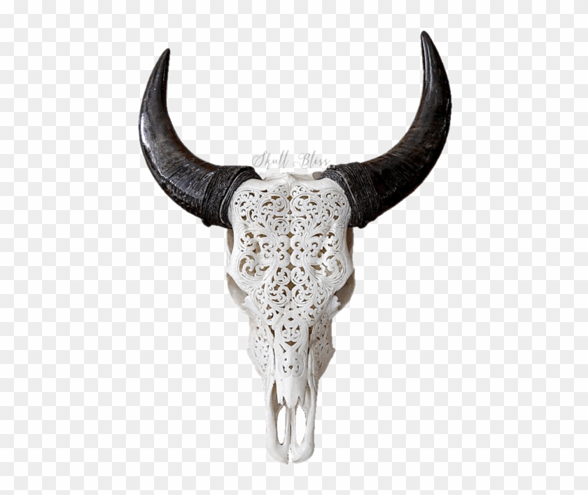 Carved Cow Skull // Xl Horns - Cow Skull Transparent Clipart