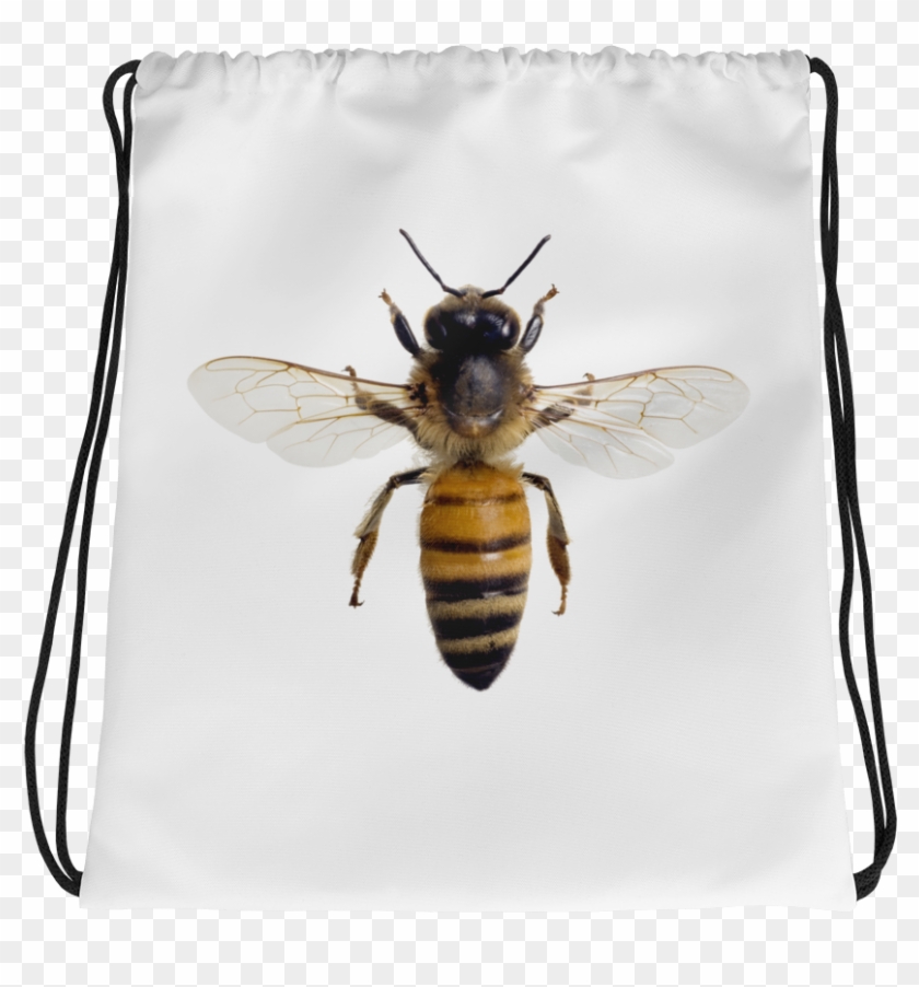 Honey-bee Print Drawstring Bag - Honey Bee Wings Out Clipart #1496546