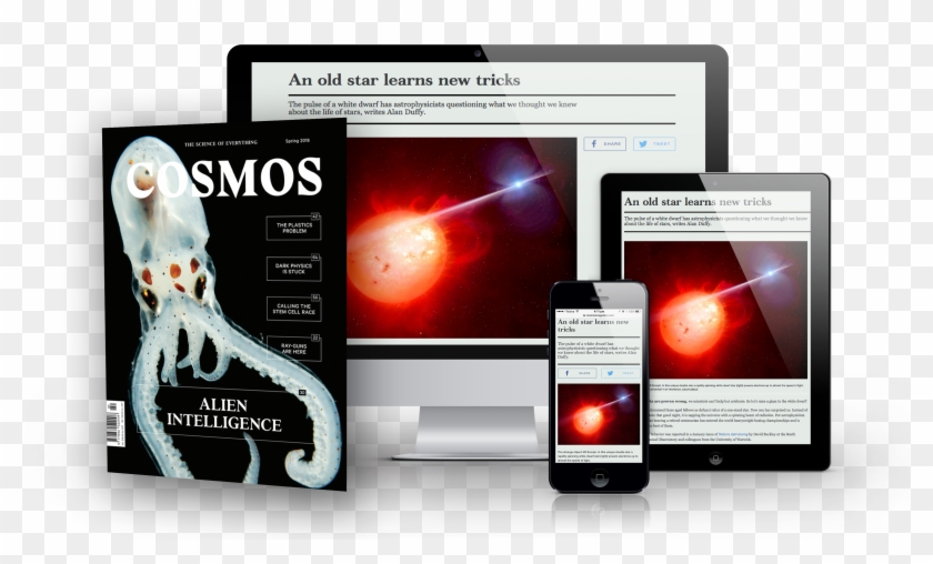 Paywalldevicevisual C79 Tp - Subscribe Clipart #1496716