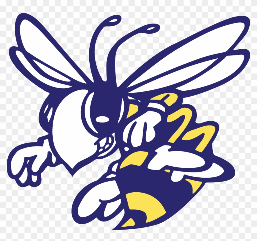 Honeybee - Png - Stephenville Yellow Jacket Logo Clipart