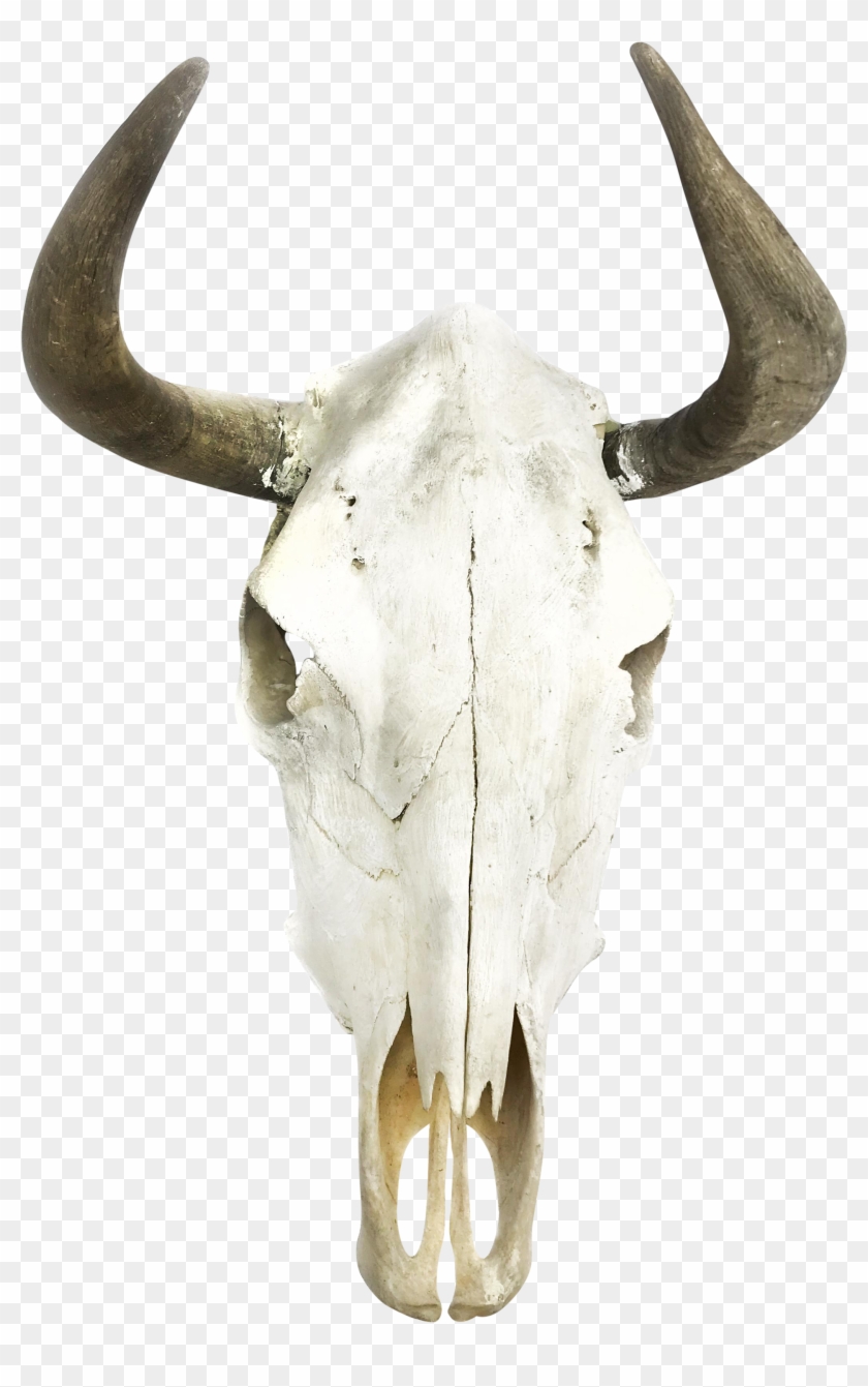 Boho Cow Skull Wall Decor Moose - Bull Skull Clipart #1496770