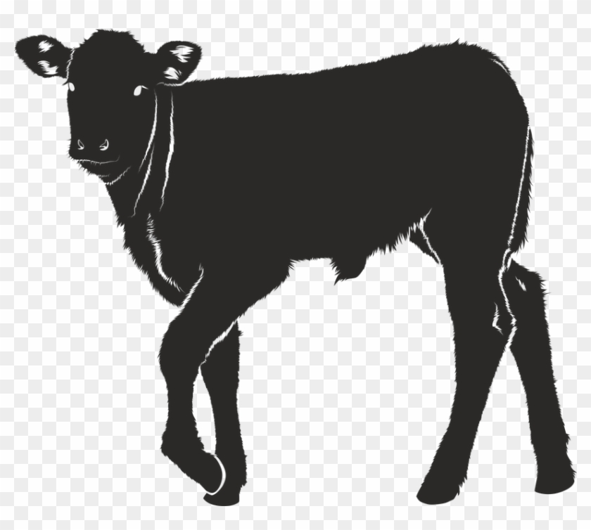 Svg Black And White Stock Calves Cheap Beef Cow Panda - Silhouette Veau Clipart #1497296