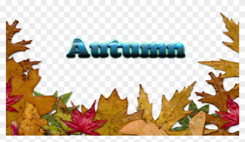 Autumn Leaves Free Download Png - Autumn Leaves Border Png Transparent Clipart #1497884