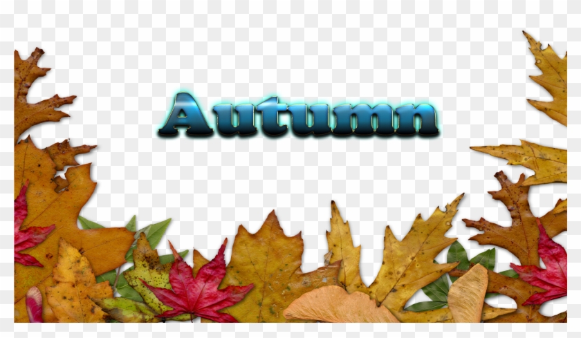 Autumn Leaves Free Download Png - Autumn Leaves Border Png Transparent Clipart