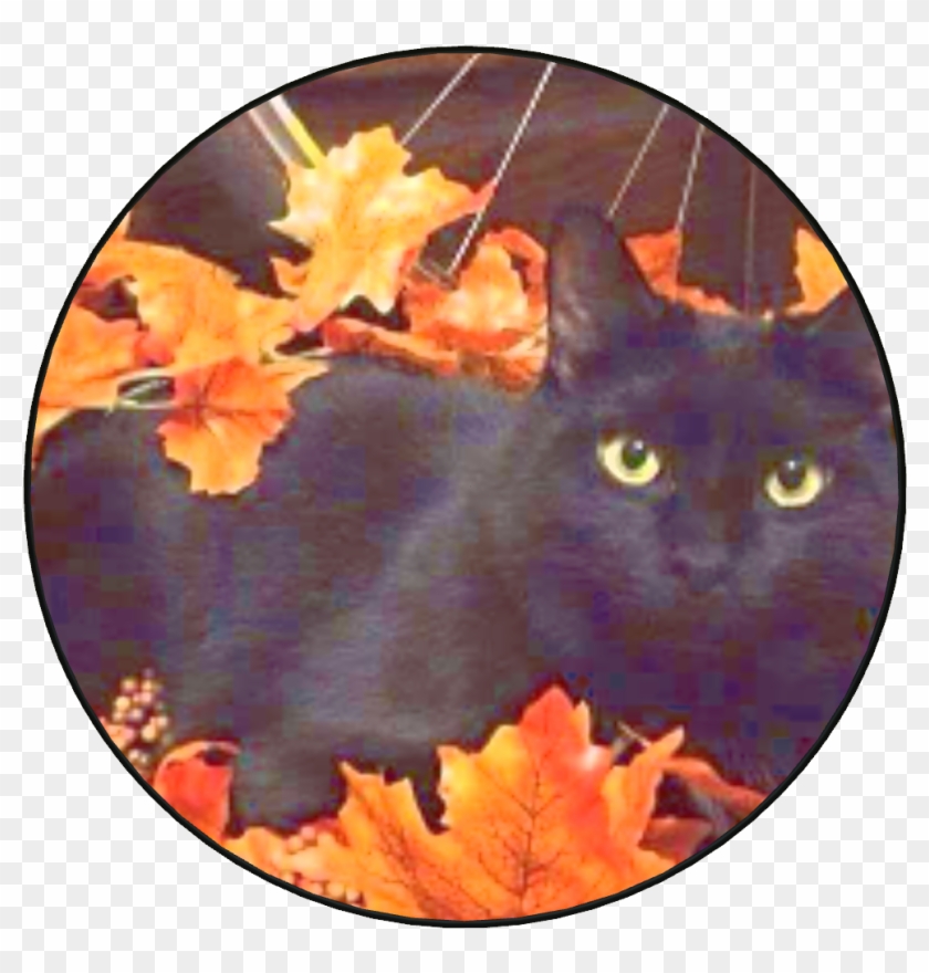 Black Cat Autumn , Png Download Clipart