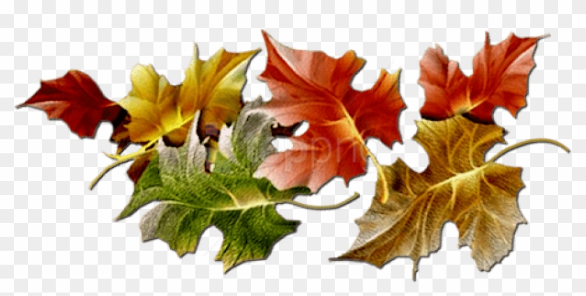 Free Png Download Autumn Png Images Background Png - Fall Divider Clipart