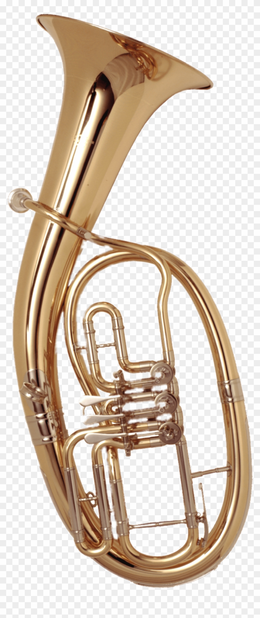 Download - Tenorhorn Clipart