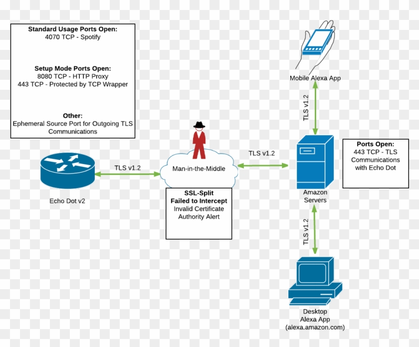 Network Findings Diagram - Amazon Echo Network Diagram Clipart