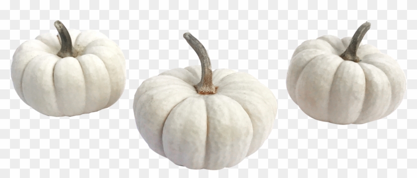 Baby Boo Pumpkins - Pumpkin Clipart #150088