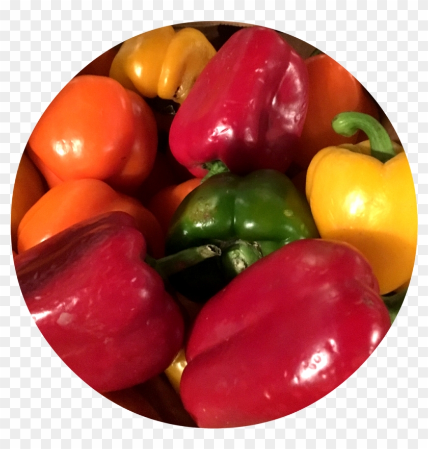 5 - Red Bell Pepper Clipart