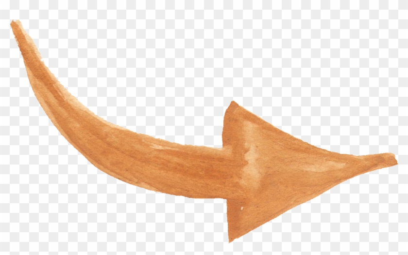 Banner Transparent Stock Arrows Drawing Watercolor - Electric Ray Clipart