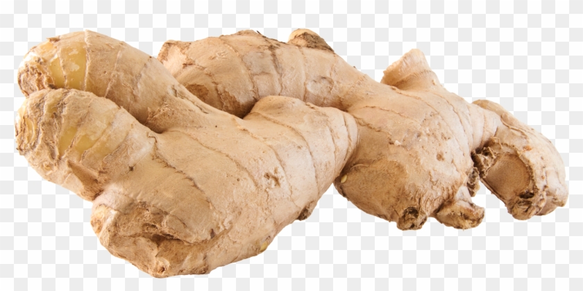 Ginger Png Clipart