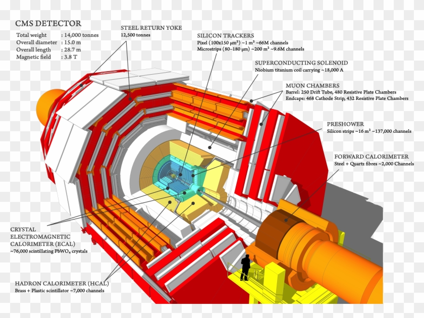 Run-1 Labels Png - Main Component Of Cms Detector Clipart #150949
