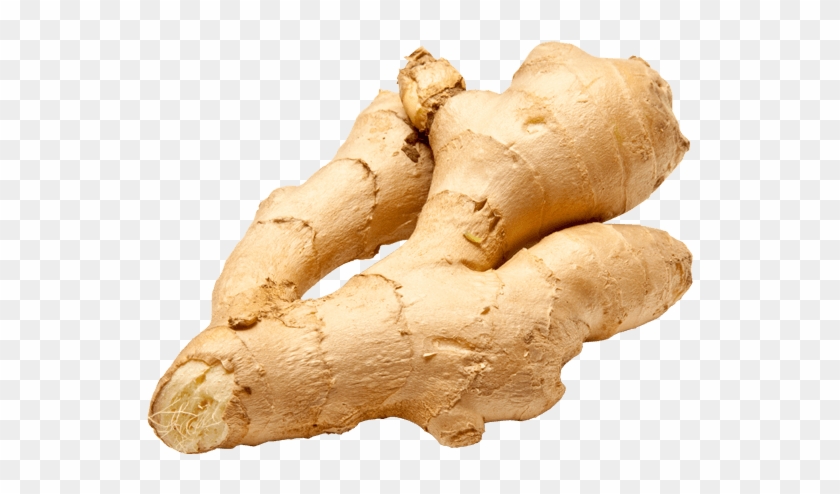 Ginger Png - Ginger Clipart #151025