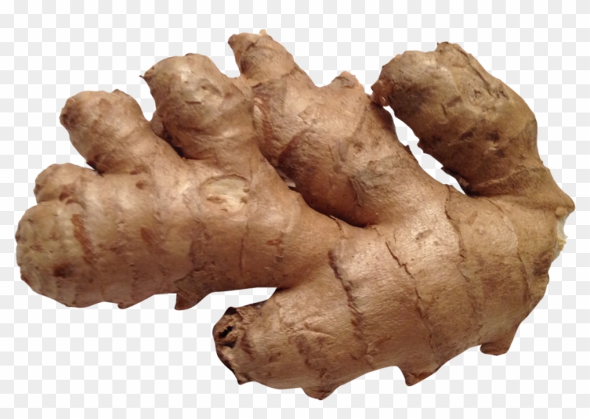 Ginger Png Image1 - Ginger Png Clipart