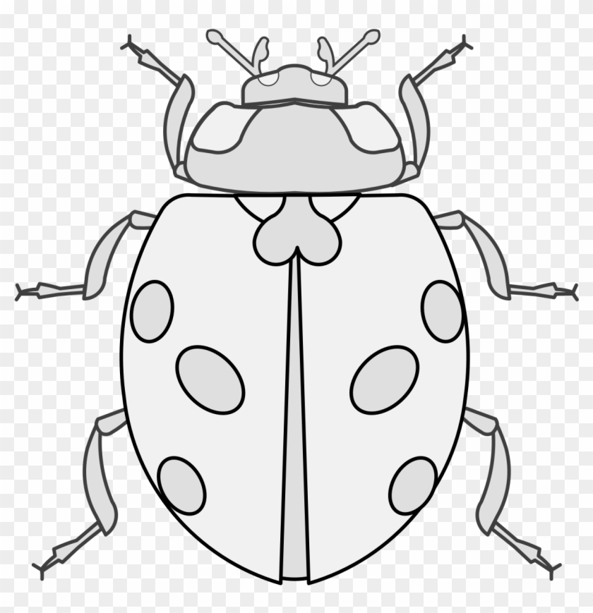 Details, Png - Traceable Ladybug Clipart #151141