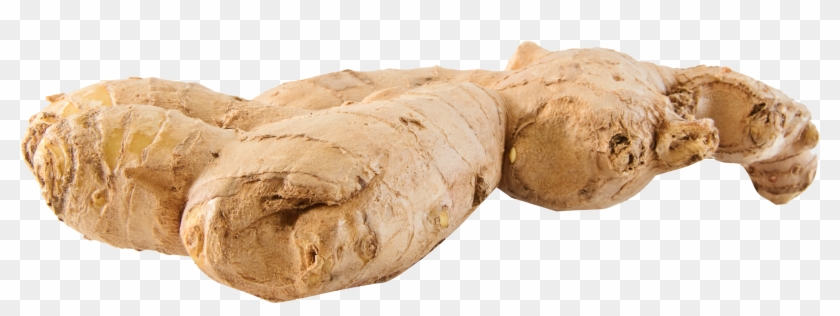 Ginger Png Clipart #151165