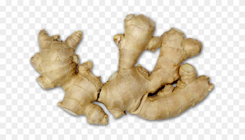 Home Remedy For Asthma Attack Clipart #151192