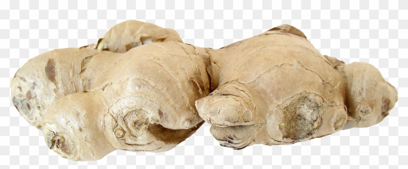 Portable Network Graphics Clipart #151271