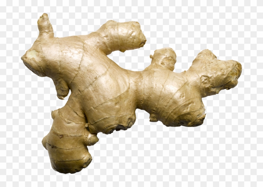 Ginger - Fresh Ginger Clipart #151592