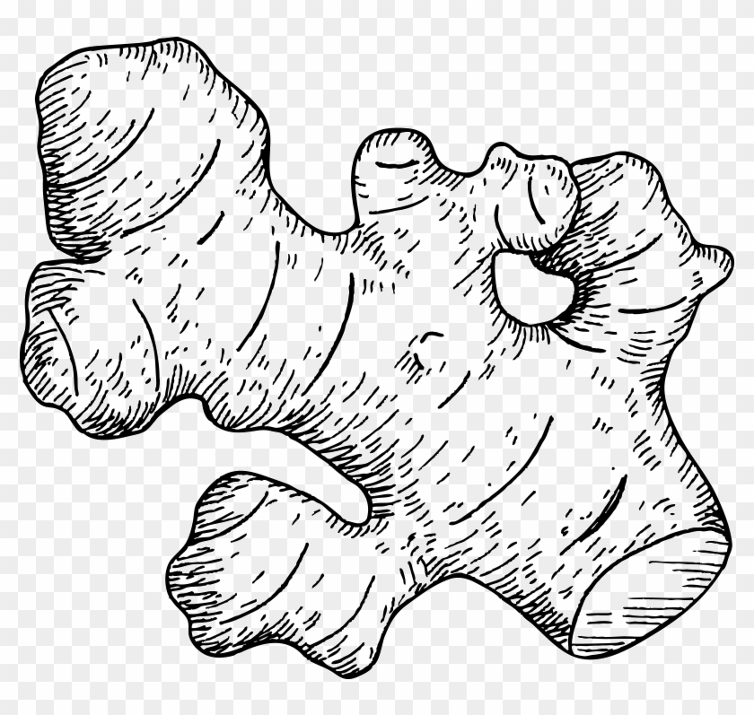 Ginger - Ginger Drawing Png Clipart #151984