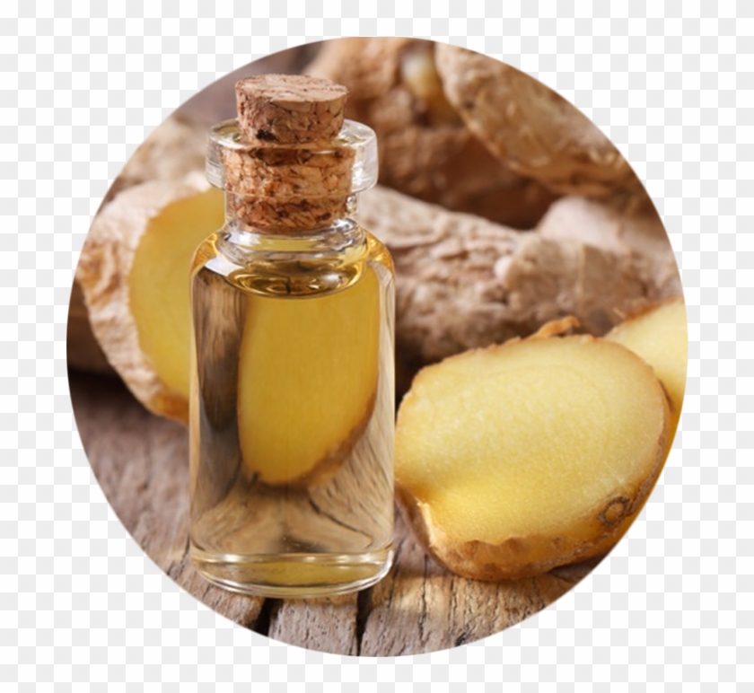 Essential Oil From Ginger Clipart #152008