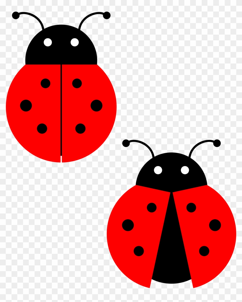 Red Ladybug Png Photos - Ladybug Clipart Transparent Png #152141