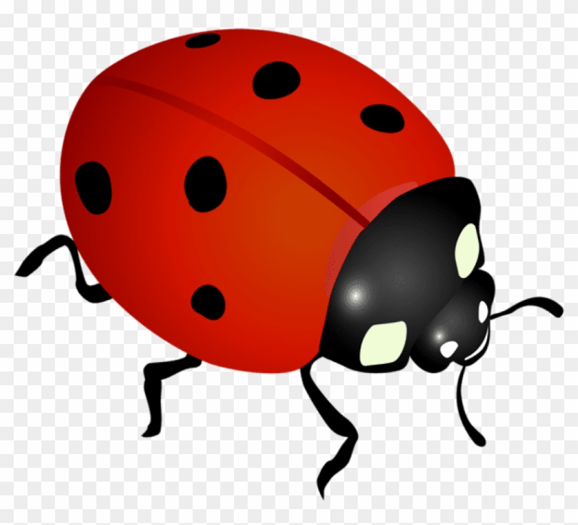 Free Png Download Ladybug Png Images Background Png - Transparent Background Ladybug Clip Art #152370