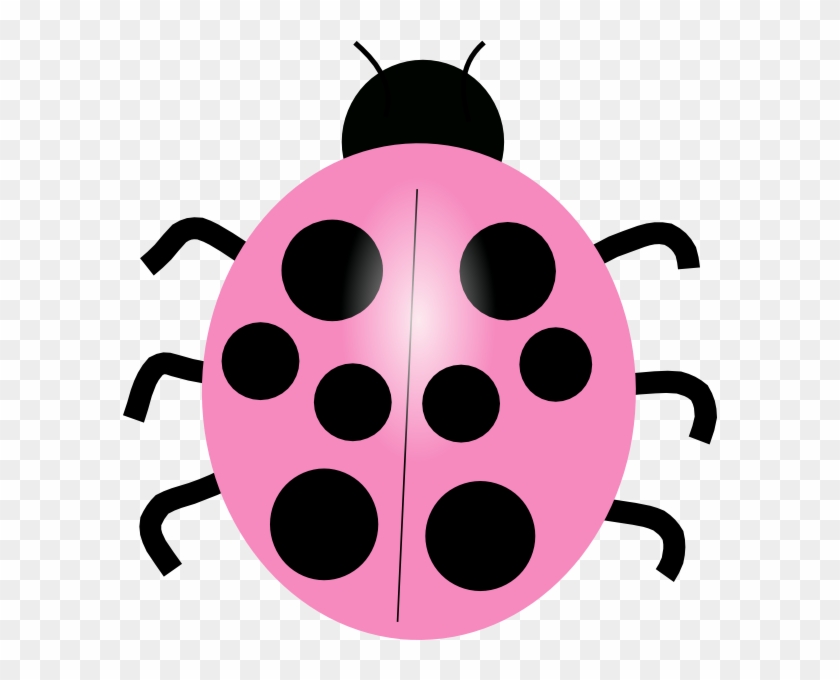 Small - Different Color Ladybug Clip Art - Png Download #152567