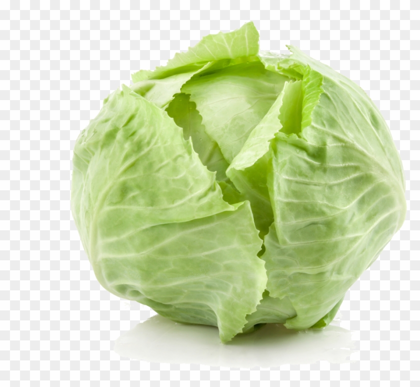 Cabbage Png Background Image - Keräkaali Clipart #152592