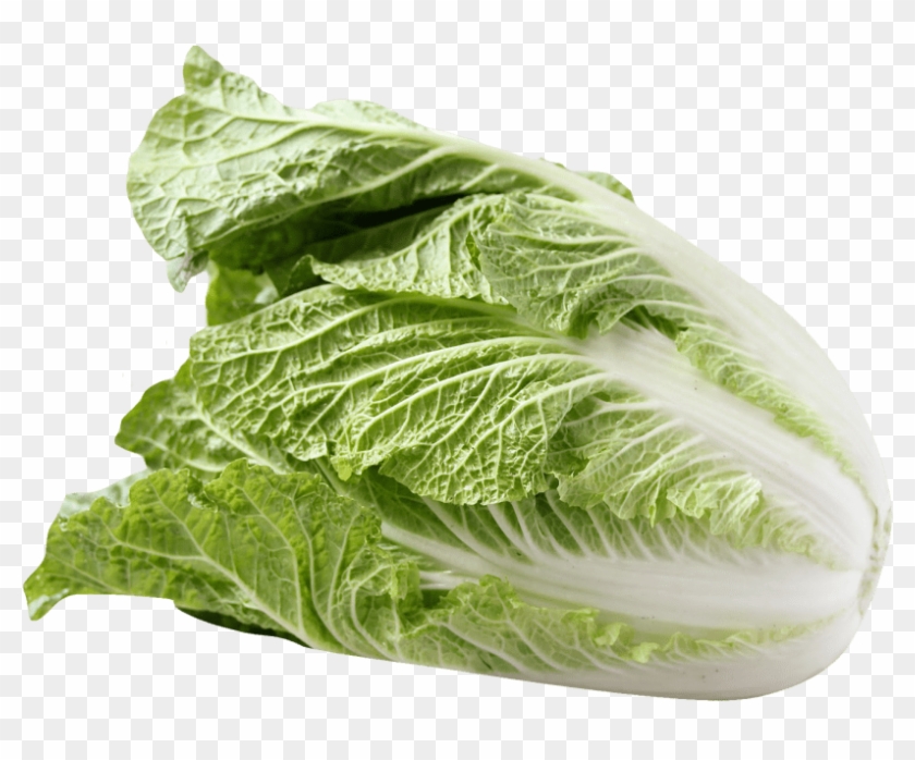 Free Png Napa Cabbage Png Images Transparent - Romaine Lettuce Clipart #152617