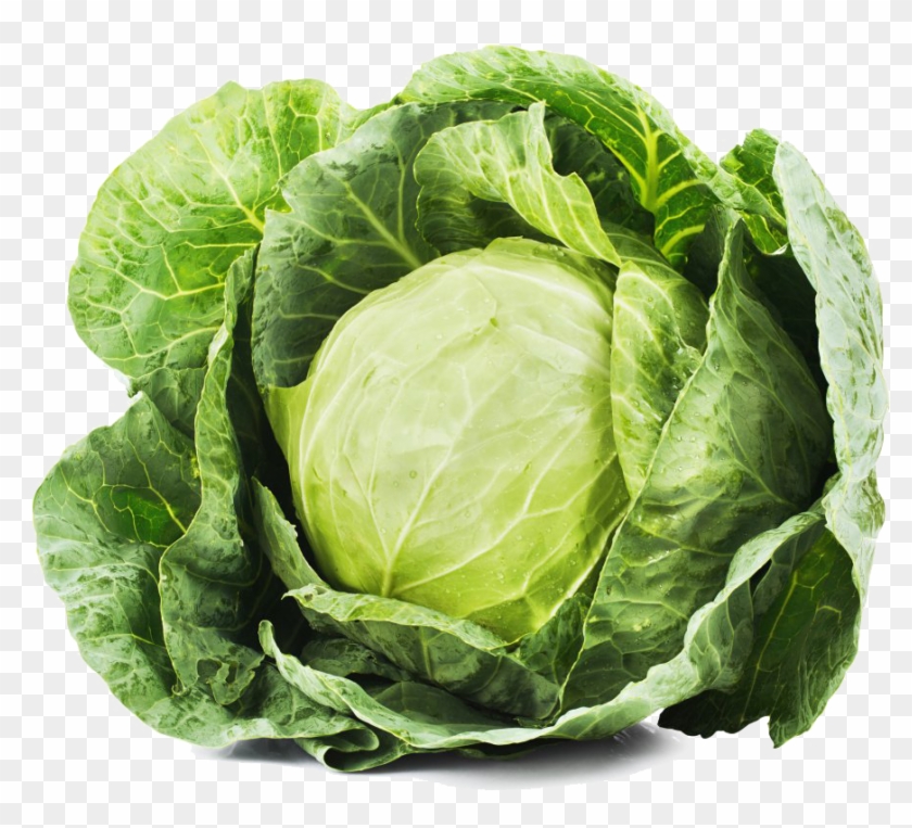 Cabbage Transparent Image - Cabbage Transparent Clipart #152680
