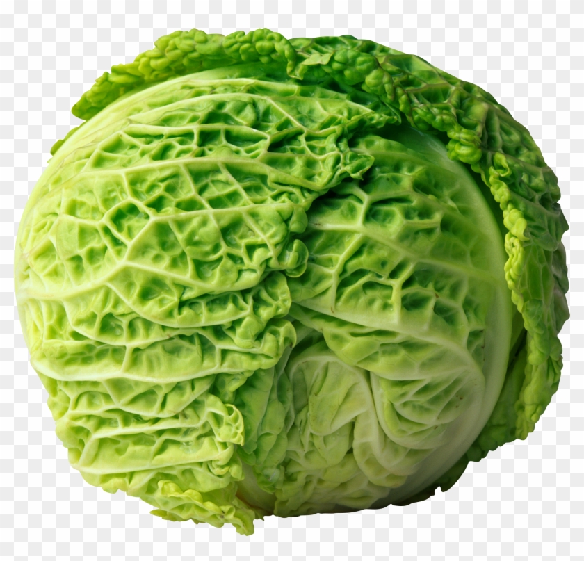 Cabbage Clipart #152726