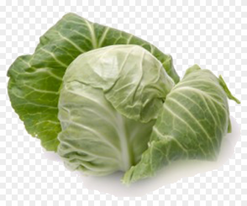 Cabbage Png - Cabbage Definition Clipart #152779
