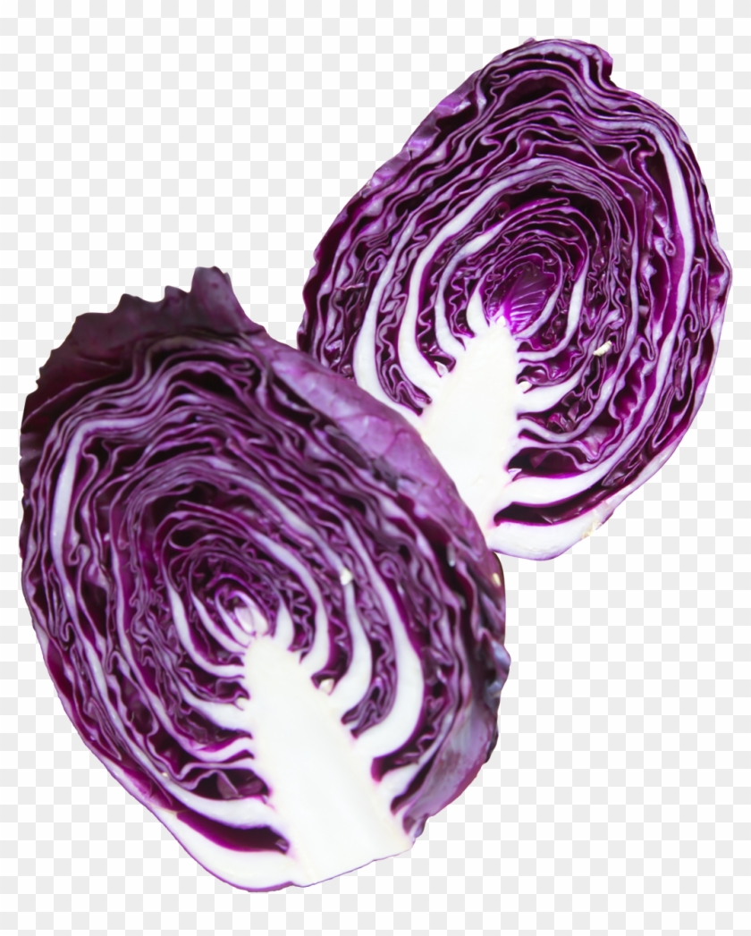 Napa Cabbage Purple Png Image - Purple Cabbage Png Clipart