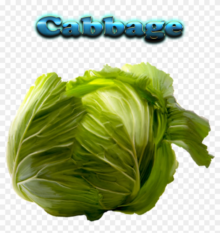 Cabbage Free Download Png - Cabbage With Name Clipart #152944