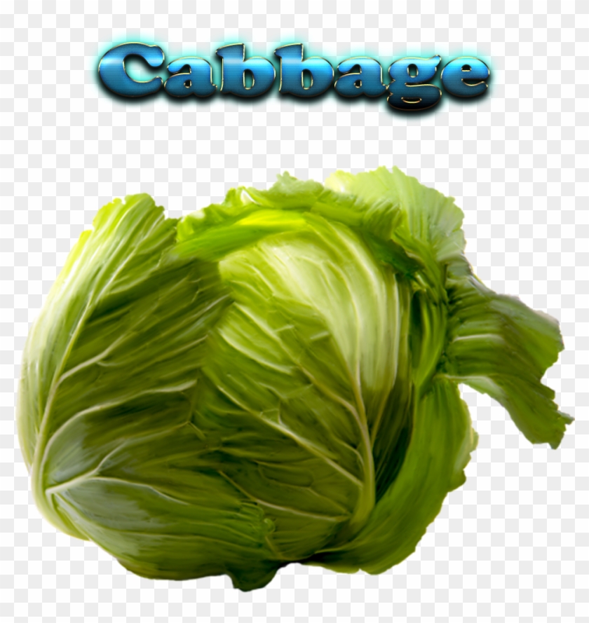 Cabbage Free Download Png - Cabbage With Name Clipart
