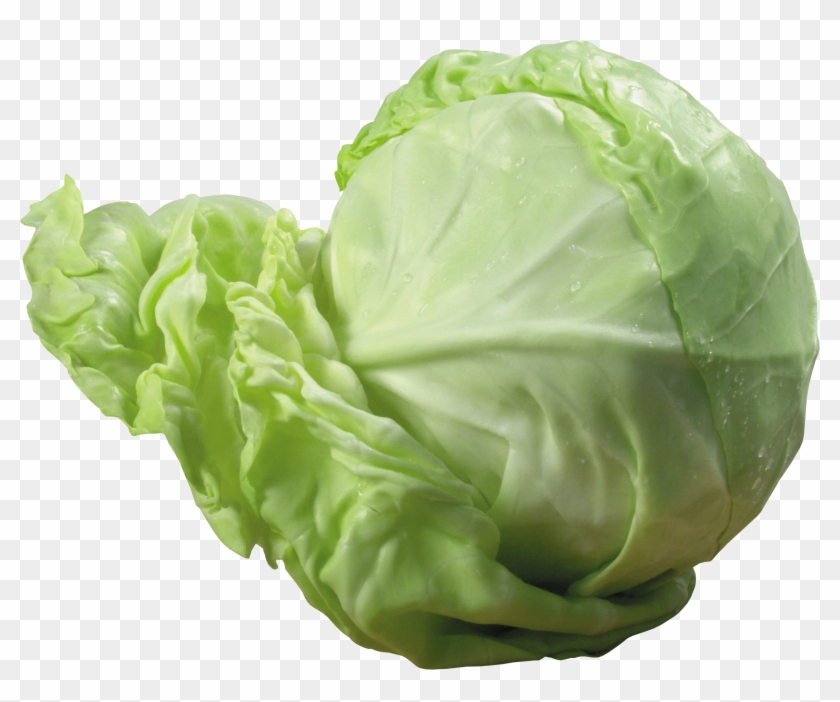 Free Png Download Cabbage Png Images Background Png - Cabbage Transparent Background Clipart #152964