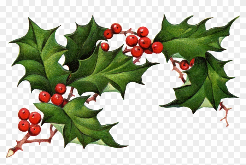 Christmas Elements Png Pic - Christmas Elements Png Clipart #152966