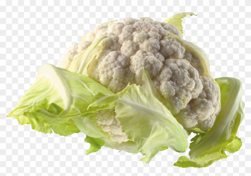 Cabbage Transparent Png Image - Cauliflower Png Clipart #153067