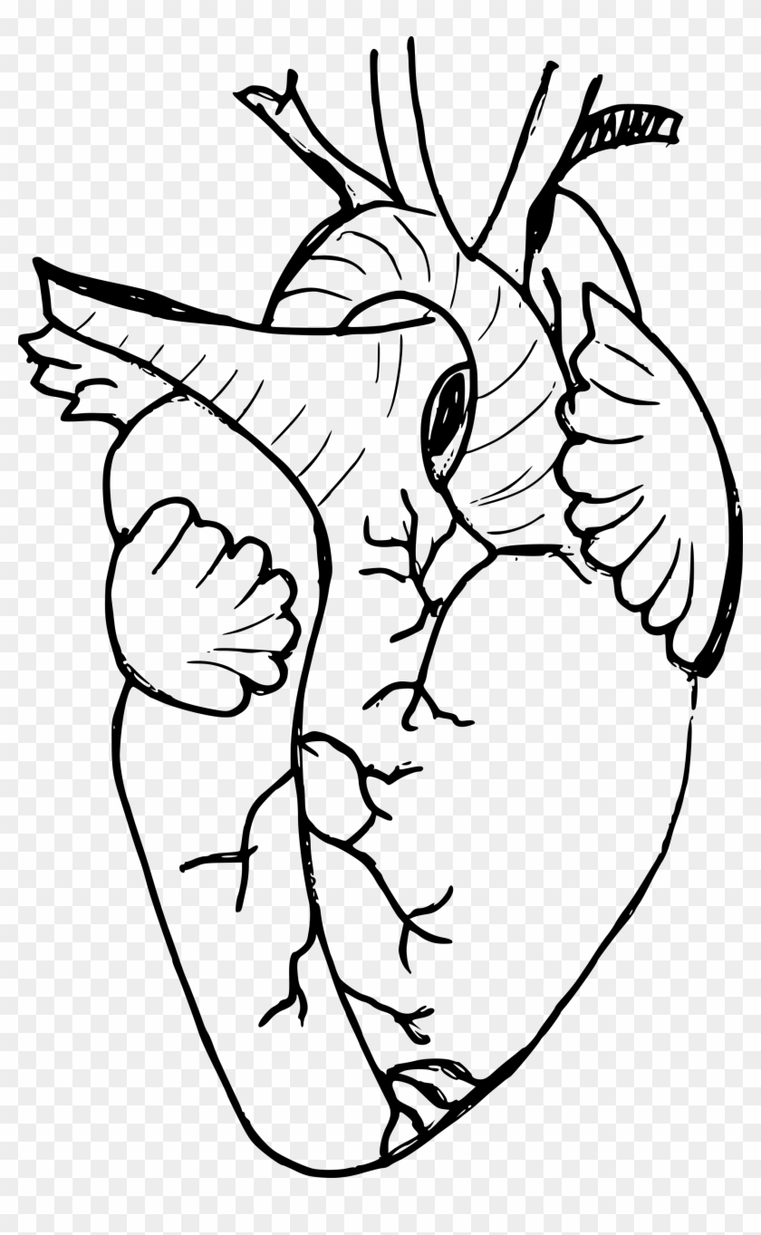 Free Download - Portable Network Graphics Clipart