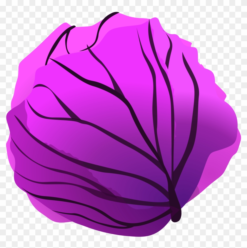 This Free Icons Png Design Of Red Cabbage Clipart #153344