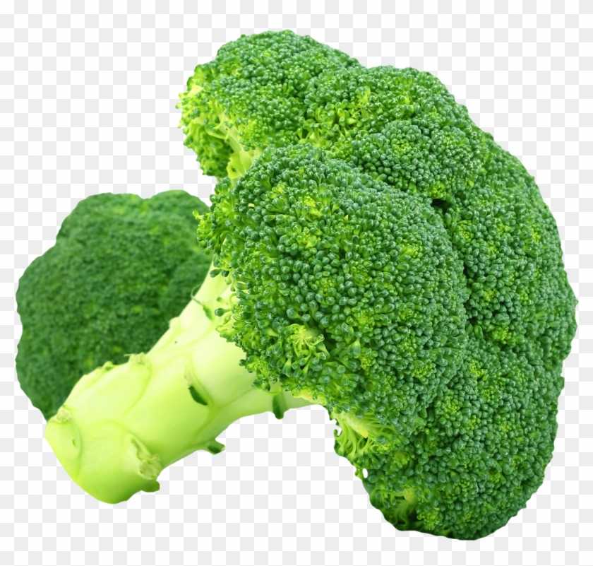 Broccoli Png Transparent Image - Broccoli Png Clipart #153427