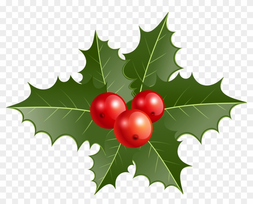 8000 X 6081 6 Clipart #153474