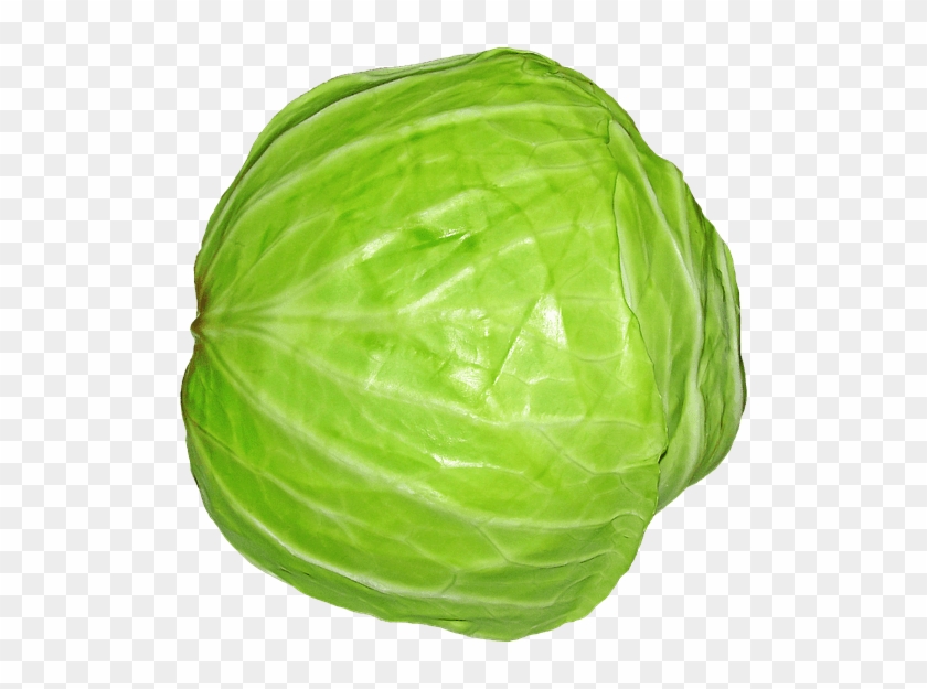 Still, There Is One Way That Can Help You Identify - Fruits And Vegetables Single Clipart