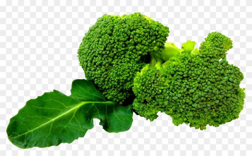 Cabbage Png Image - Broccoli Png Clipart #153709